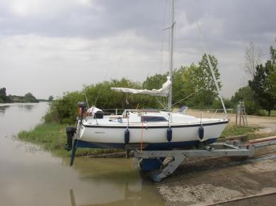 ALOA 25