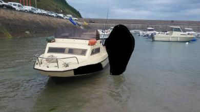 bateau  moteur Striper (Cormorant)  4,60 M
