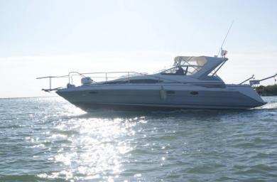 bayliner 3555 avanti