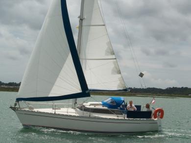 FANTASIA 27 DL