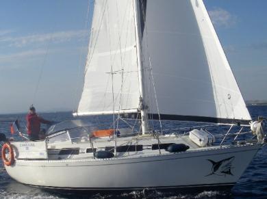 IDYLLE 8.80