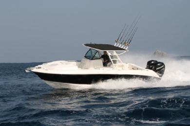 WELLCRAFT 30 SCARAB SPORT