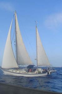 ketch whitby 42