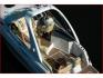 CRUISER 260 GALEON