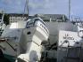 beneteau flyer 5.50 grand bleu