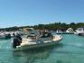 SOLEMAR OFFSHORE 23 + SUZUKI 200CV
