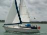 FANTASIA 27 DL