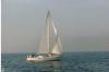 JNF 38 Cutter-Sloop acier 12mt